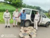 जायलो कार से शराब ढो रहा तस्कर गिरफ्तार