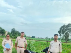 एक्टीवा स्कूटी से शराब ढो रहे दो तस्कर गिरफ्तार