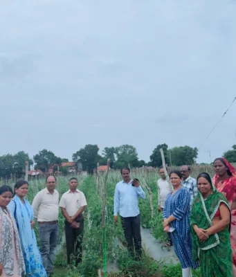 प्राकृतिक खेती से 2 एकड़ में उत्पादित स्वीट कॉर्न से 2 लाख रूपये की शुध्द आय