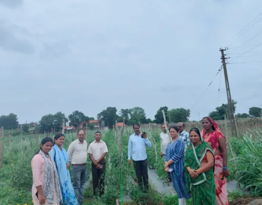 प्राकृतिक खेती से 2 एकड़ में उत्पादित स्वीट कॉर्न से 2 लाख रूपये की शुध्द आय