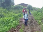छिंदवाड़ा: डोलाढाना गांव में जर्जर सड़क के साथ पेयजल संकट, ग्रामीणों ने कलेक्टर से लगाई गुहार