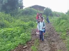 छिंदवाड़ा: डोलाढाना गांव में जर्जर सड़क के साथ पेयजल संकट, ग्रामीणों ने कलेक्टर से लगाई गुहार