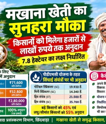 मखाना खेती का सुनहरा मौका: किसानों को मिलेगा लाखों रुपये अनुदान