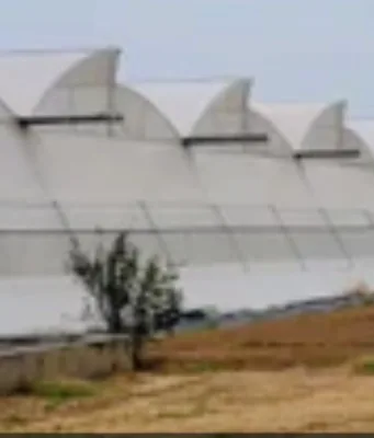 किसानों को पॉलीहाउस निर्माण पर मिलेगा 19 लाख रुपये तक का अनुदान