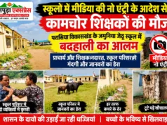 छिंदवाड़ा: जमुनिया जेठू स्कूल में बदहाली, परिसर में कचरे के ढेर और आवारा मवेशियों का जमावड़ा