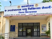 पशुपालन विभाग बना भ्रष्टाचार का अड्डा
