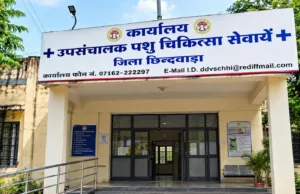 पशुपालन विभाग बना भ्रष्टाचार का अड्डा