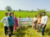 जलवायु अनुकूल खेती से बदल रही धान की तस्वीर