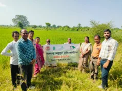 जलवायु अनुकूल खेती से बदल रही धान की तस्वीर
