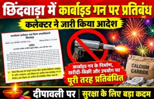 छिंदवाड़ा में कार्बाइड गन पर प्रतिबंध, कलेक्टर का धारा 163 के तहत आदेश