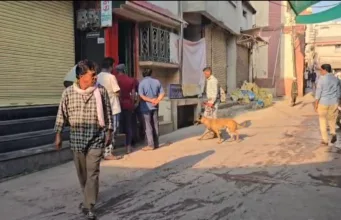 पांढुर्णा में विनय ज्वेलर्स पर बड़ी डकैती, बुजुर्ग संचालक पर रॉड से हमला