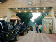 पेंच नेशनल पार्क का कोर क्षेत्र पर्यटकों के लिए खुला, 1 अक्टूबर से शुरू हुई जंगल सफारी