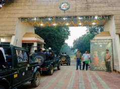 पेंच नेशनल पार्क का कोर क्षेत्र पर्यटकों के लिए खुला, 1 अक्टूबर से शुरू हुई जंगल सफारी