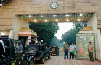 पेंच नेशनल पार्क का कोर क्षेत्र पर्यटकों के लिए खुला, 1 अक्टूबर से शुरू हुई जंगल सफारी