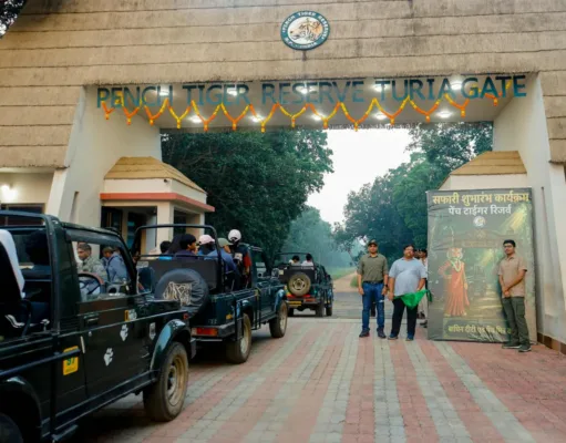 पेंच नेशनल पार्क का कोर क्षेत्र पर्यटकों के लिए खुला, 1 अक्टूबर से शुरू हुई जंगल सफारी